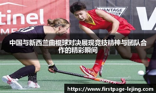 乐竞体育网址